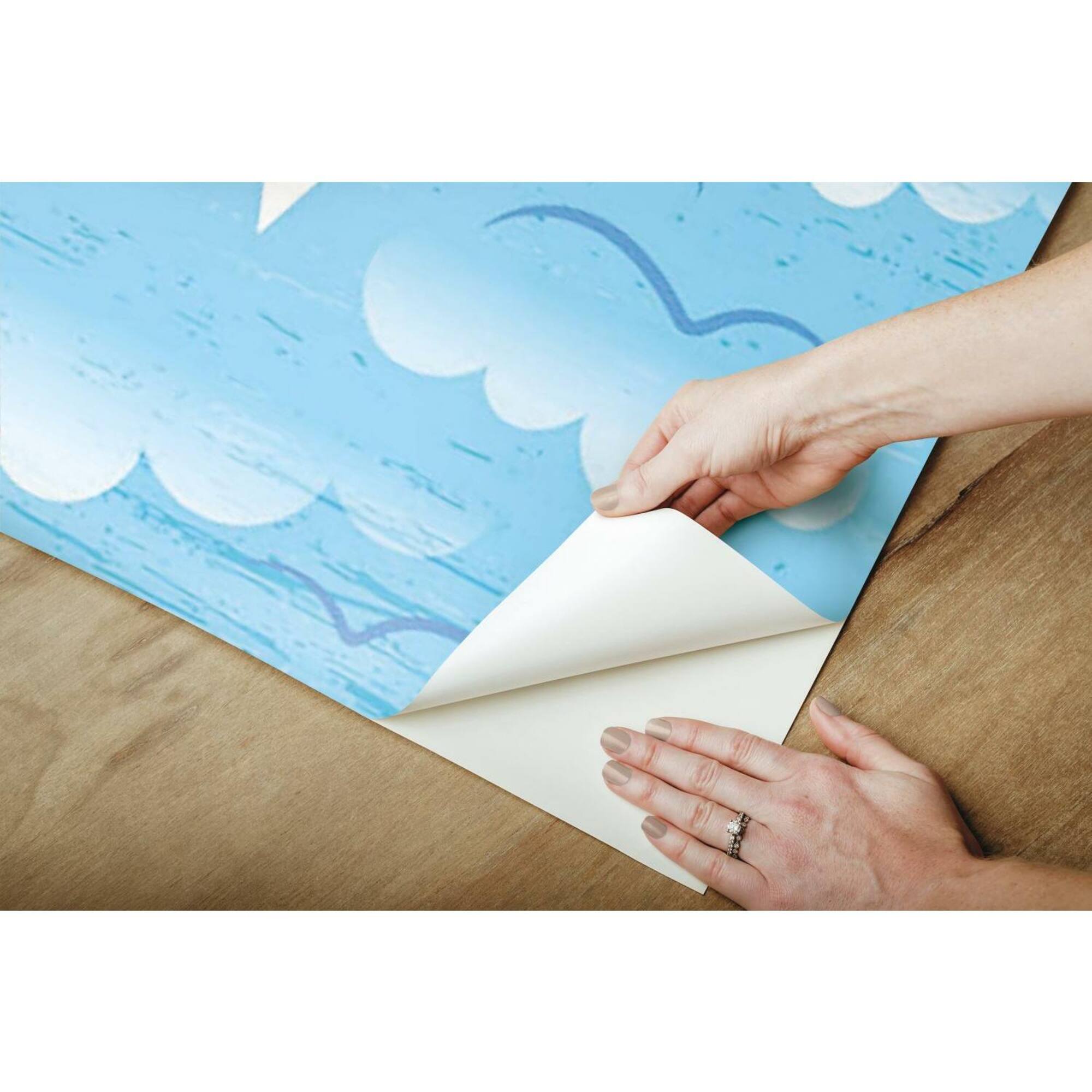 RoomMates World Map Mural Peel & Stick Wallpaper